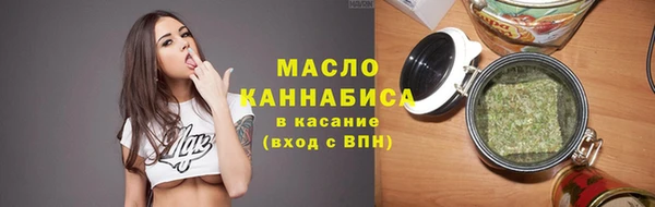 гидра Покачи