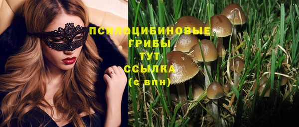 Альфа ПВП Армянск
