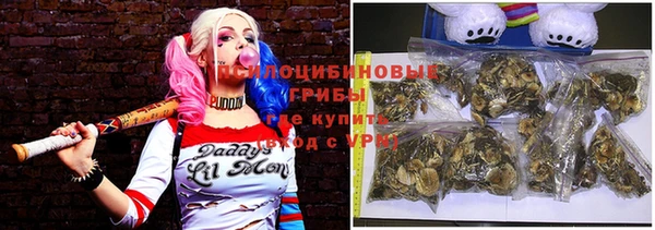 крисы Арсеньев