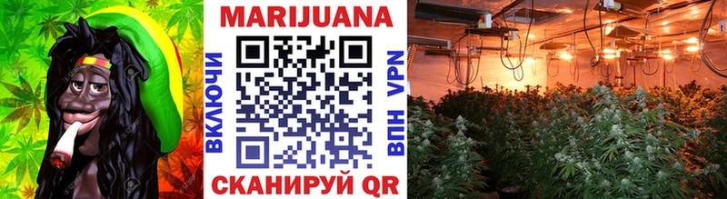 Марихуана OG Kush  Суворов 